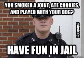 You smoked a joint, ate cookies, and played with your dog?