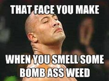 That face you make when you smell some bomb ass weed