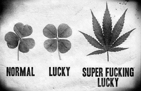 Normal, Lucky, Super fucking lucky!