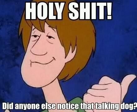 Holy Shit! Did anyone else notice that talking dog?
