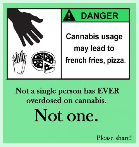 Not a single person has ever overdosed on cannabis