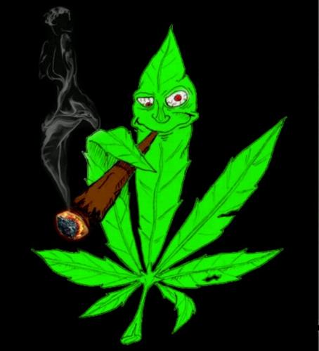 Cannabis leaf smoking weed